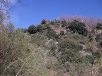 nte Fontane-01042012 105
